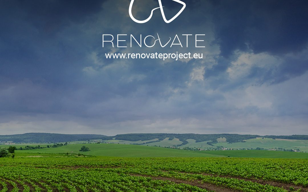 RENOVATE: Projeto Europeu para transformar a agricultura em entrevista na Revista Abolsamia