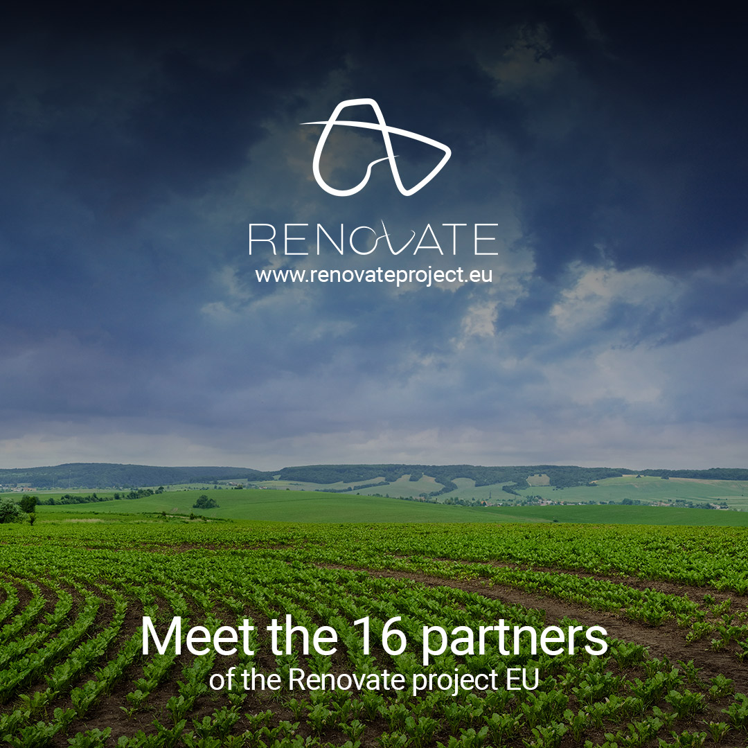 renovate project partners