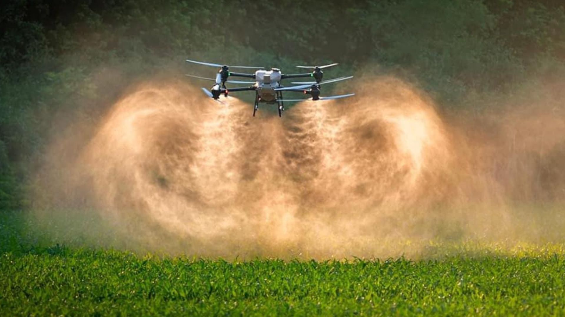 pulverização drone daterra