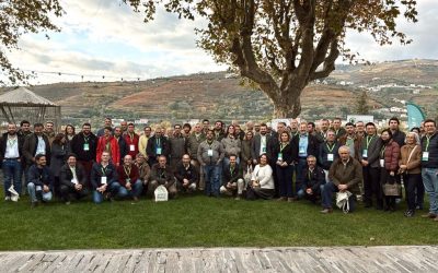 EuroTech Day: Especialistas Europeus Discutem no Douro o Estado da Arte dos Drones na Agricultura